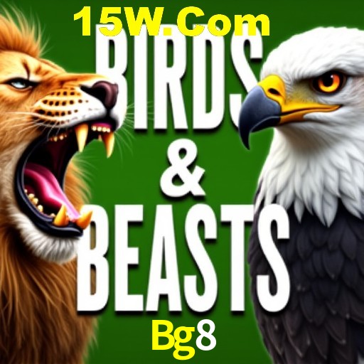 Explorando a Categoria de Eventos em Apostas na Bg8